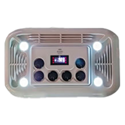 IN-21 (integrated)